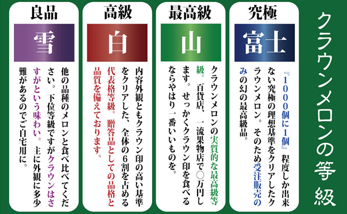 クラウンメロン特大玉1玉入【奇数月6回定期便】【配送不可：離島】