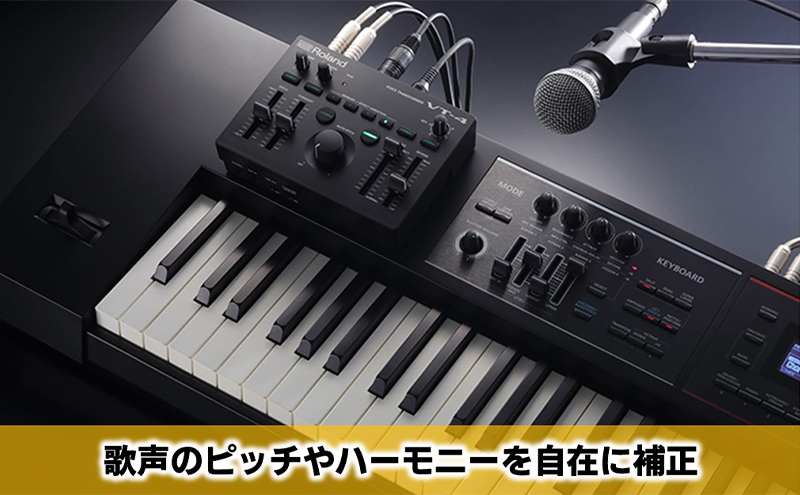 【Roland】ボイストランスフォーマー/VT-4【配送不可：離島】