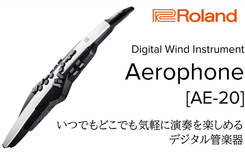 【Roland】電子管楽器/Aerophone AE-20【配送不可：離島】 雑貨 日用品