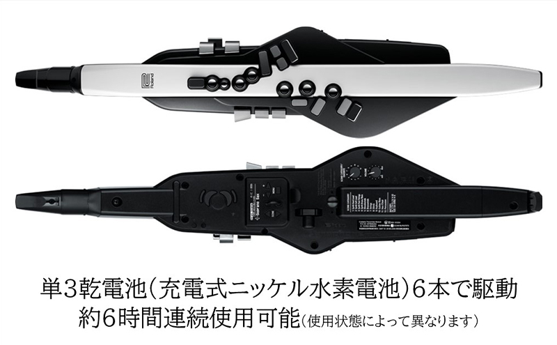 【Roland】電子管楽器/Aerophone AE-20【配送不可：離島】