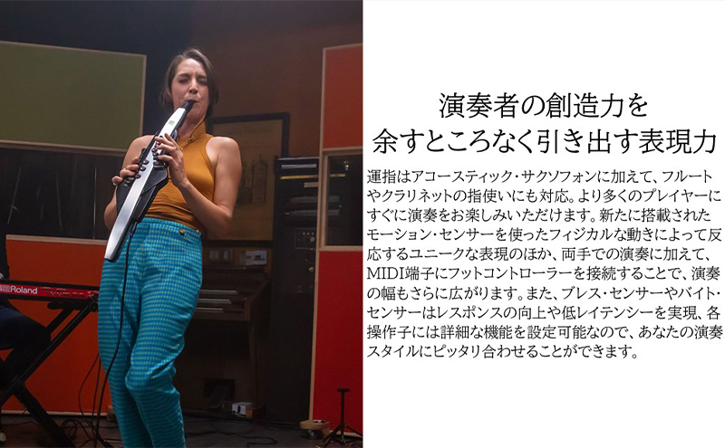 【Roland】電子管楽器/Aerophone Pro AE-30【配送不可：離島】 雑貨 日用品 