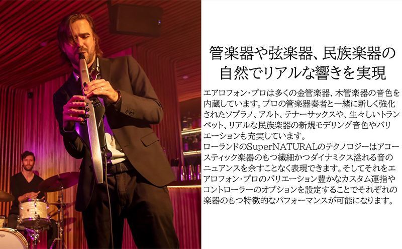 【Roland】電子管楽器/Aerophone Pro AE-30【配送不可：離島】 雑貨 日用品 