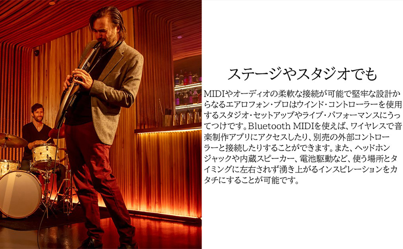 【Roland】電子管楽器/Aerophone Pro AE-30【配送不可：離島】 雑貨 日用品 