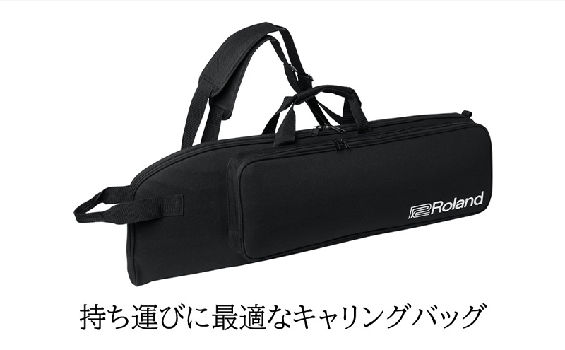 【Roland】電子管楽器/Aerophone Pro AE-30【配送不可：離島】 雑貨 日用品 
