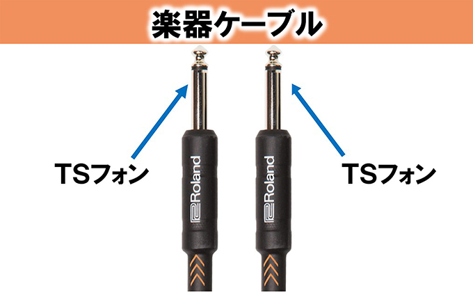 【Roland純正】楽器ケーブル 3m/RIC-B10【配送不可：離島】