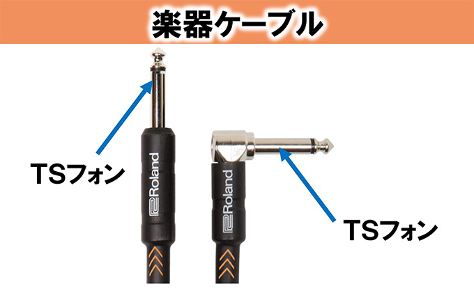 【Roland純正】楽器ケーブル 3m/RIC-B10A【配送不可：離島】