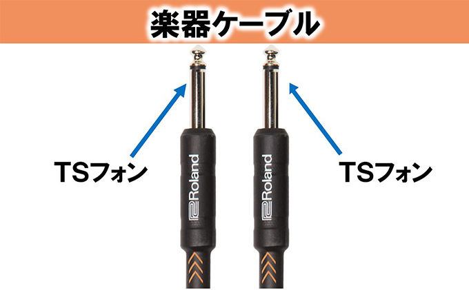 【Roland純正】楽器ケーブル 1.5m/RIC-B5【配送不可：離島】