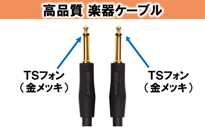 【Roland純正】高品質楽器ケーブル 3m/RIC-G10【配送不可：離島】