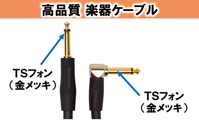 【Roland純正】高品質楽器ケーブル 3m/RIC-G10A【配送不可：離島】