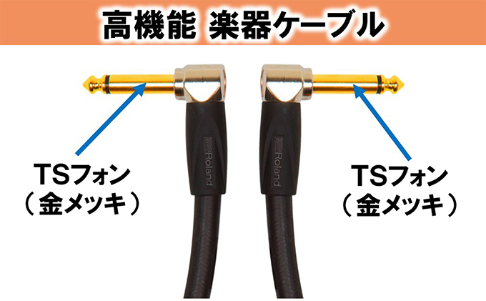 【Roland純正】高品質楽器ケーブル 30cm/RIC-G1AA【配送不可：離島】