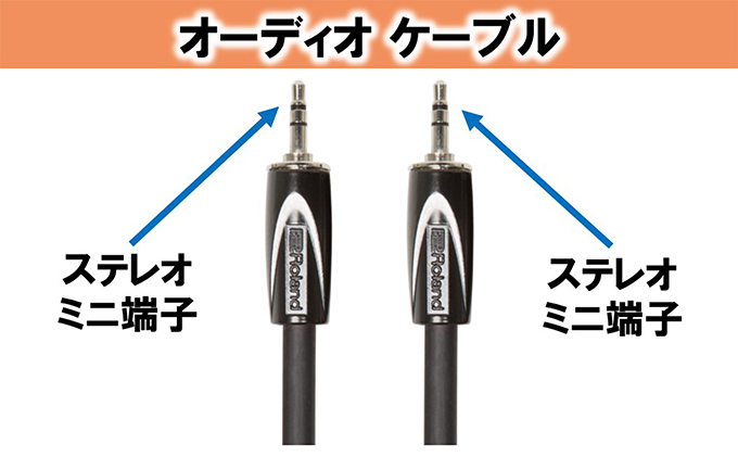 【Roland純正】オーディオケーブル 3m/RCC-10-3535【配送不可：離島】 雑貨 日用品 