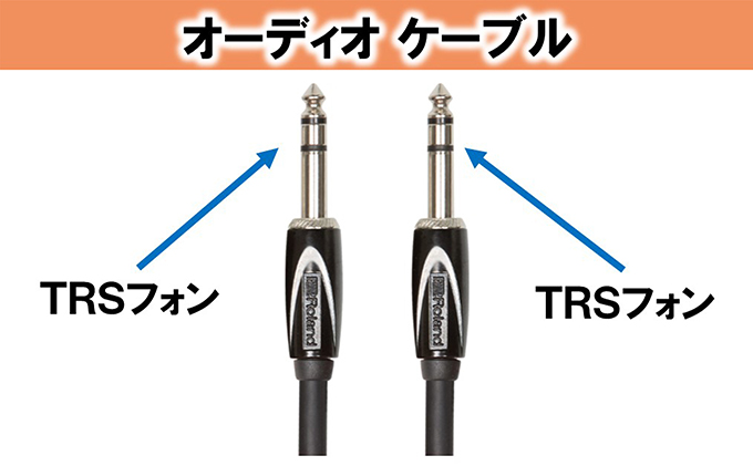 【Roland純正】オーディオケーブル 3m/RCC-10-TRTR【配送不可：離島】 雑貨 日用品 