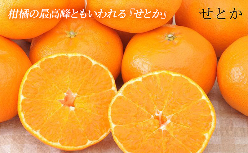 ã2027幎2æããé æ¬¡çºéã åŸè€ã¿ããèŸ²å ææ©è©°åã ïŒããšãã»äžç¥ç« å3åïŒããŠã¹æ œå¹ æç© ãã ãã® æ¬ã®ãã«ãŒã æ¬ã®æç© å£ç¯ã®ãã«ãŒã å£ç¯ã®æç© ææ© ææ©é¡ é岡 æµæŸåž