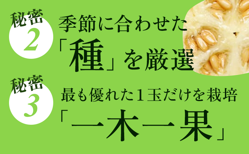 ã6ã¶æå®æäŸ¿ãã¯ã©ãŠã³ã¡ãã³ã䞊ïŒçœççŽïŒãå°çïŒ1.1kgååŸïŒ2çå
¥ã