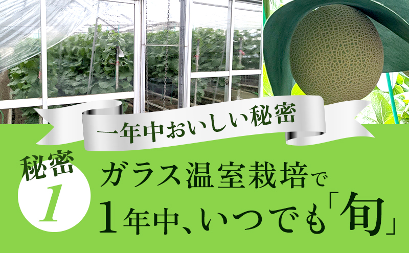 縲仙カ謨ー譛6繝カ譛亥ョ壽悄萓ソ縲代け繝ゥ繧ヲ繝ウ繝。繝ュ繝ウ 逋ス遲臥エ 1.1kg蜑榊セ シ堤脂蜈・繧