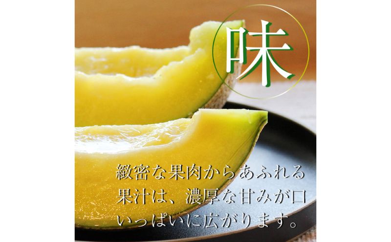 【偶数月6ヶ月定期便】クラウンメロン【並（白等級）】小玉（1.1kg前後）2玉入り