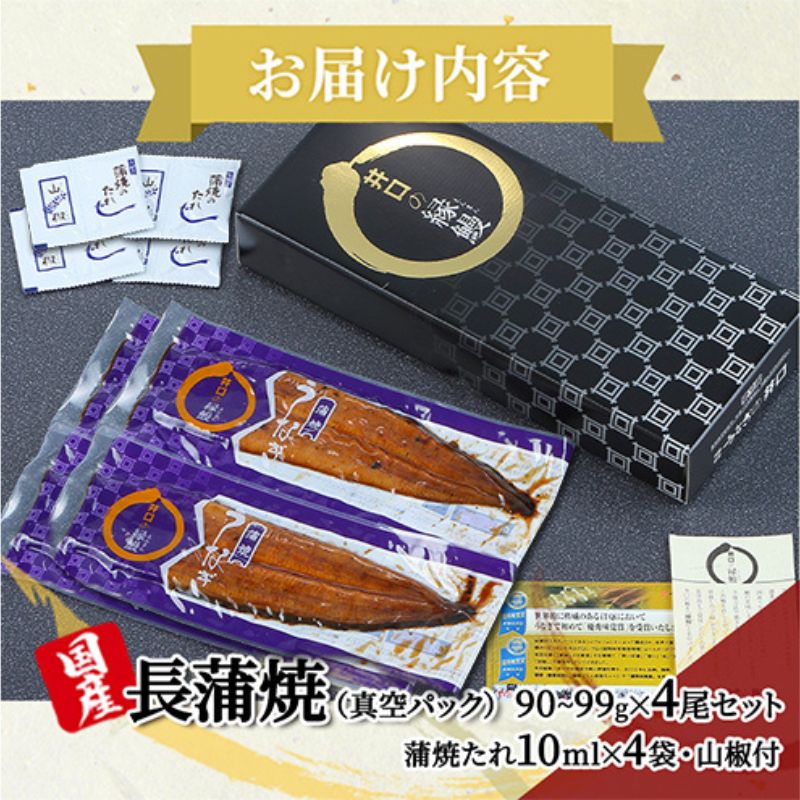 ããªã èš³ãã ITIåªç§å³èŠè³åè³ åœç£ é·è²çŒ 4å°Ÿ ããä» å°åã ã»ãã ããªãè²çŒ åœç£ããªã æ£è ããã åçšã®äžã®æ¥ äžã®æ¥ è²çŒã ããªé ãŠãã® é°» éå²¡ç æµæŸåž é
éäžå¯ïŒé¢å³¶ ã2026幎1æ15æ¥ä»¥éé æ¬¡çºéã