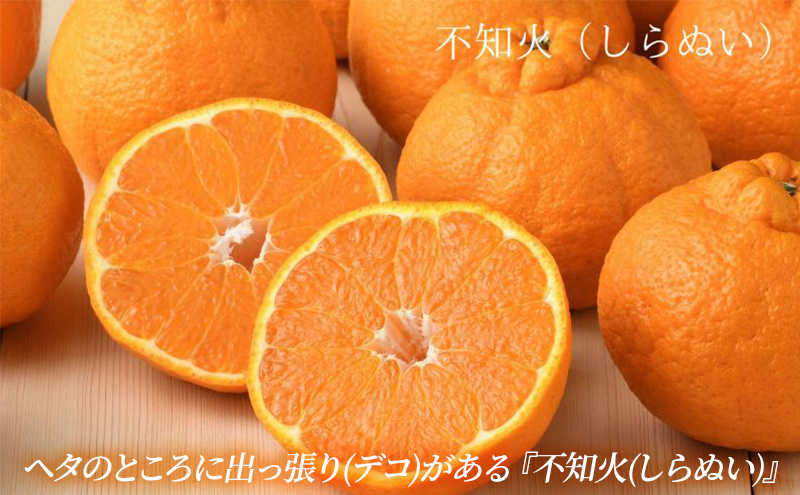 ã2027幎2æããé æ¬¡çºéã åŸè€ã¿ããèŸ²å ææ©è©°åã ïŒããšãã»äžç¥ç« å3åïŒããŠã¹æ œå¹ æç© ãã ãã® æ¬ã®ãã«ãŒã æ¬ã®æç© å£ç¯ã®ãã«ãŒã å£ç¯ã®æç© ææ© ææ©é¡ é岡 æµæŸåž
