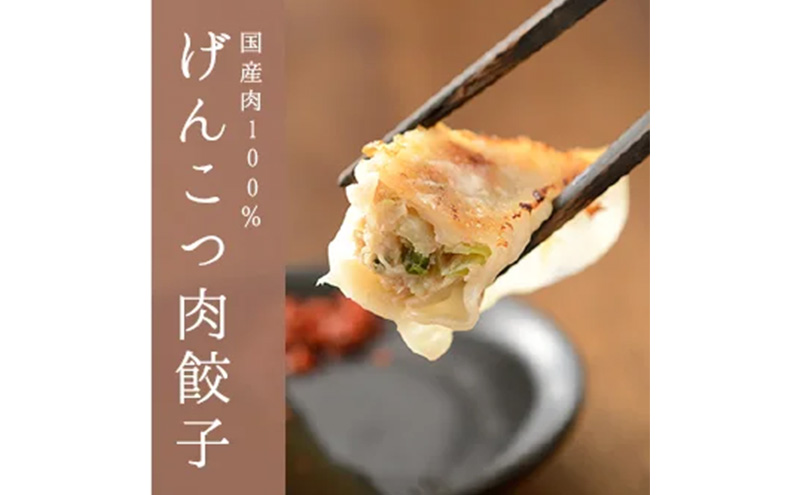「浜松餃子」いえやす餃子 2種 100個セット【配送不可：離島】