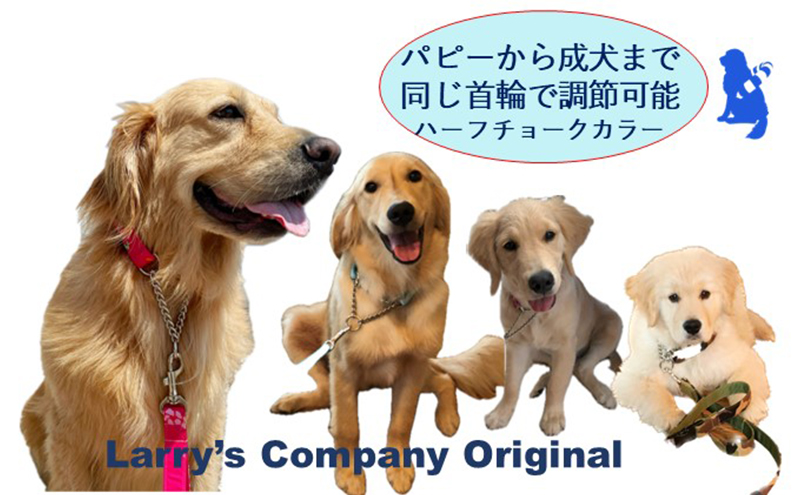 【大型犬用・Lサイズ】 ハーフチョークカラーとリードのセット（パープルウェーブ）