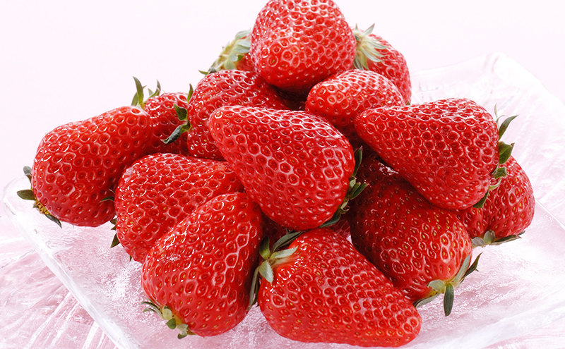 【2026年1月中旬より順次発送】紅ほっぺいちご 約260g×2パック【配送不可：離島】 