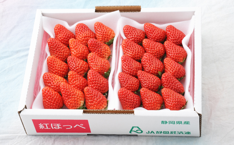 【2026年1月中旬より順次発送】紅ほっぺいちご 約260g×2パック【配送不可：離島】 