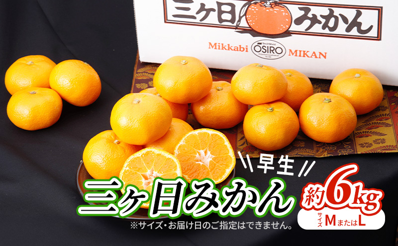 【2026年11月中旬より順次発送】 三ヶ日みかん 早生 6kg M～L 早生みかん みかん 蜜柑 ミカン 果物 くだもの 旬のフルーツ 旬の果物 季節のフルーツ 季節の果物 柑橘 柑橘類 静岡 静岡県 浜松市