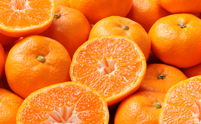 【2026年11月中旬より順次発送】 三ヶ日みかん 早生 6kg M～L 早生みかん みかん 蜜柑 ミカン 果物 くだもの 旬のフルーツ 旬の果物 季節のフルーツ 季節の果物 柑橘 柑橘類 静岡 静岡県 浜松市