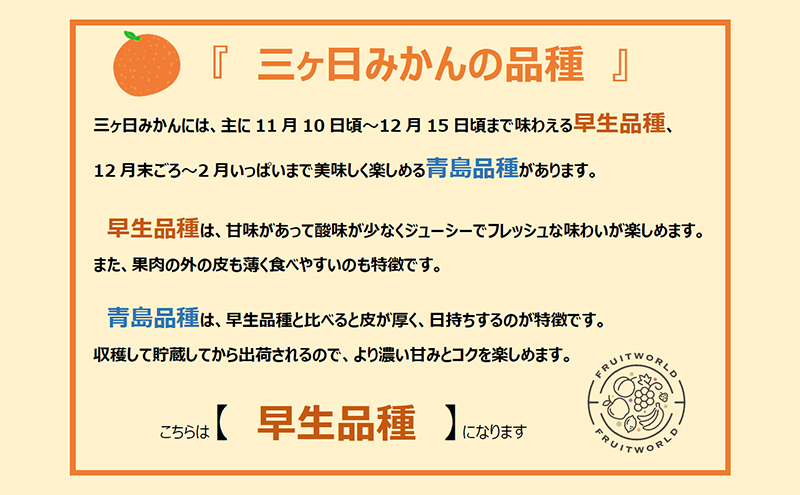 【2024年11月中旬より順次発送】三ヶ日みかん早生 約8kg（サイズ：MまたはL）