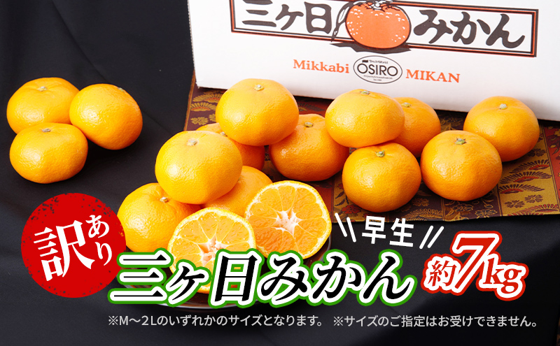 【2026年11月中旬より順次発送】 訳あり 三ヶ日みかん 早生 7kg 早生みかん みかん 蜜柑 ミカン 果物 くだもの 旬のフルーツ 旬の果物 季節のフルーツ 季節の果物 柑橘 柑橘類 訳アリ 静岡 静岡県 浜松市