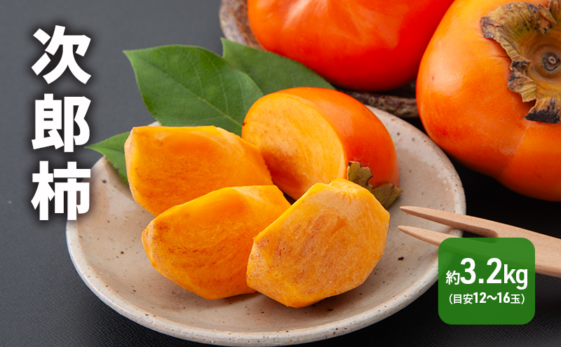 【2026年11月上旬より順次発送】 次郎柿 3.2kg 12～16個 静岡県 浜松市 果物 くだもの フルーツ 柿 かき