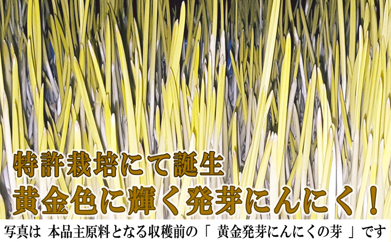 黄金発芽にんにく スプラウト パウダー サプリメント W特許 有機JAS認定肥料【 1袋 ／ 約31日分 93粒 】