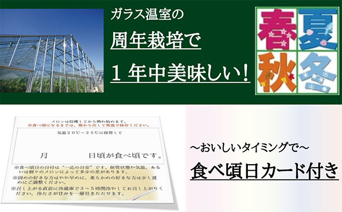 クラウンメロン　白　１玉入　12ヶ月連続届け【配送不可：離島】