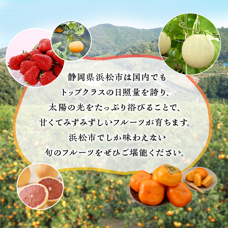 【2026年1月中旬より発送】 フルーツ 定期便 2ヶ月 三ヶ日みかん 紅ほっぺ フルーツ定期便 青島みかん みかん いちご 果物 旬のフルーツ 旬の果物 季節のフルーツ 静岡 静岡県 浜松市 2回 定期 【配送不可：離島】