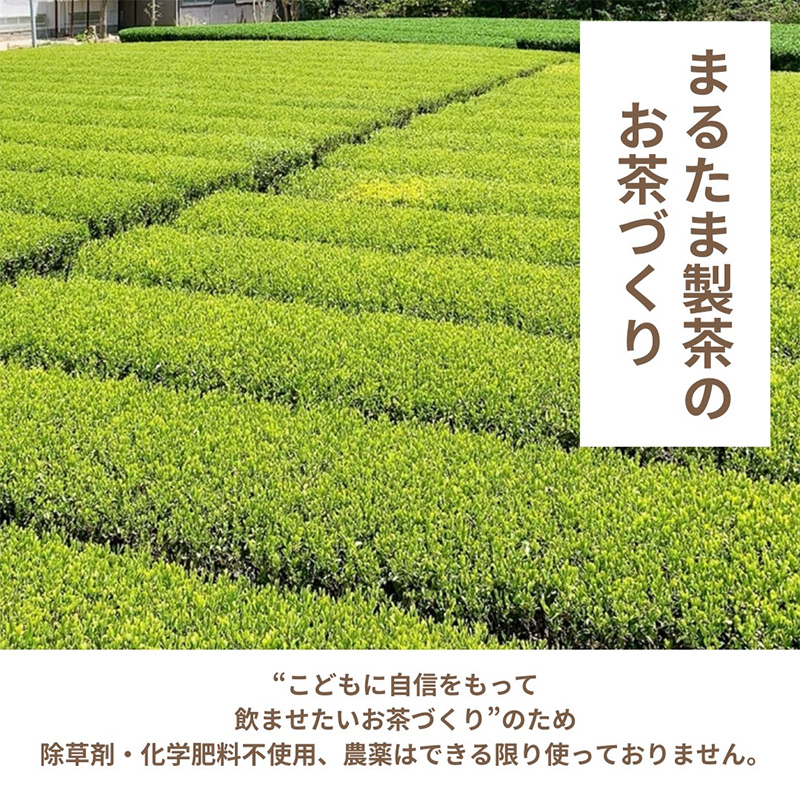 静岡県産のほうじ茶ティーバッグ【栽培期間中除草剤不使用】（30ヶ入り×2袋セット）