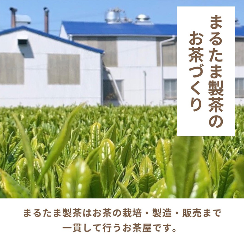 静岡県産のほうじ茶ティーバッグ【栽培期間中除草剤不使用】（30ヶ入り×2袋セット）