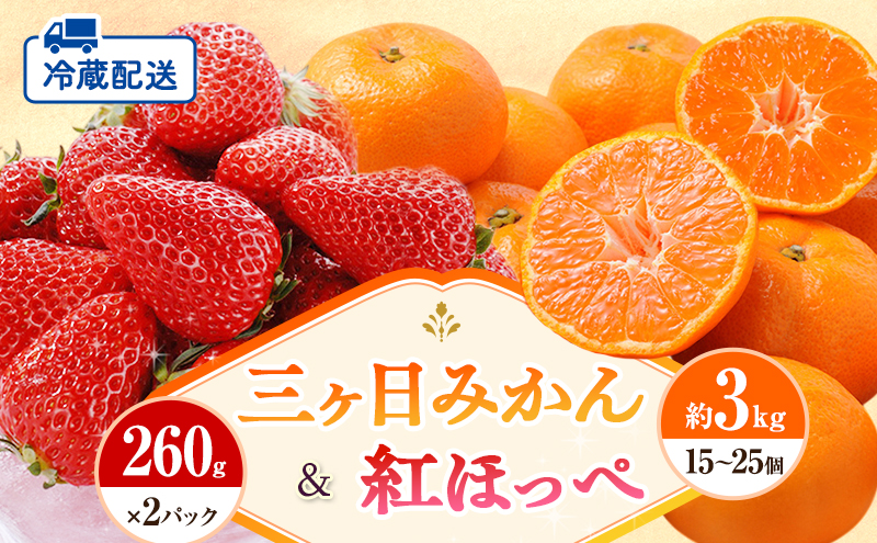 【2026年1月中旬より順次発送】 フルーツセット 紅ほっぺ 2パック 三ヶ日みかん 3kg セット 詰め合わせ 青島みかん みかん 蜜柑 いちご 苺 果物 旬のフルーツ 静岡 静岡県 浜松市 【配送不可：離島】