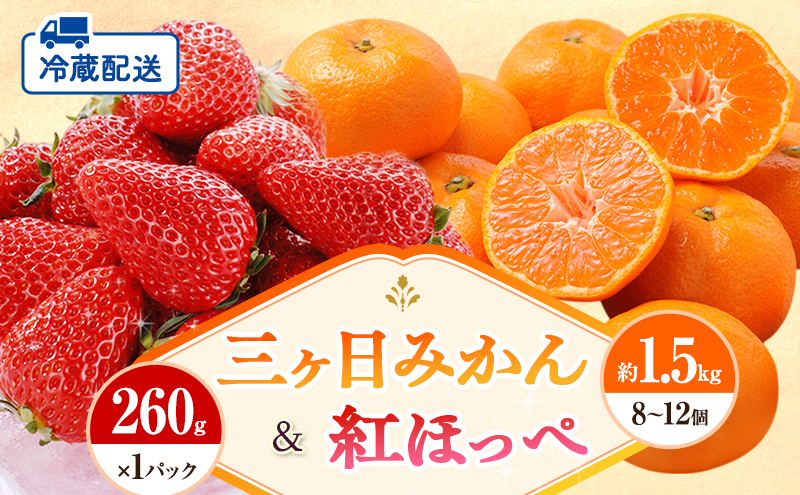 【2026年1月中旬より順次発送】 フルーツセット 紅ほっぺ 1パック 三ヶ日みかん 1.5kg セット 詰め合わせ 青島みかん みかん いちご 苺 果物 旬のフルーツ 旬の果物 静岡 静岡県 浜松市 【配送不可：離島】