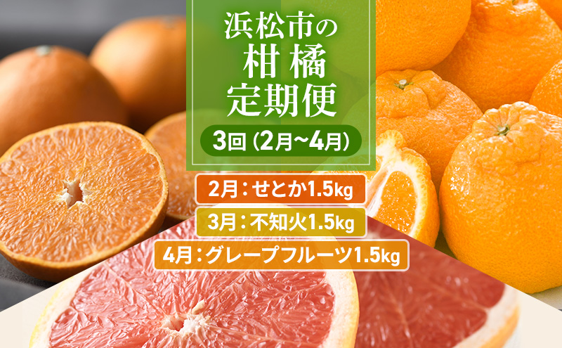 【2025年2月上旬より発送】浜松市の柑橘定期便 3回（2月～4月）せとか・不知火・グレープフルーツ