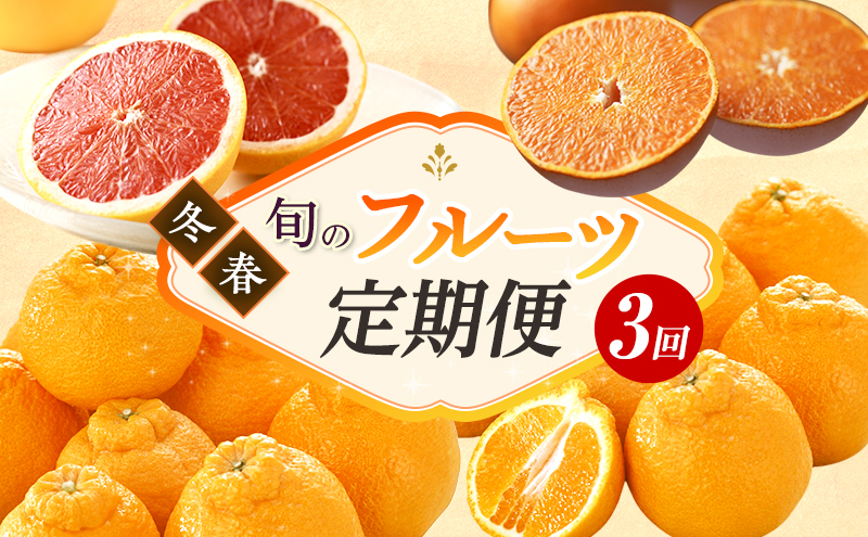 【2026年2月上旬より発送】浜松市の柑橘定期便 3回（2月～4月）せとか・不知火・グレープフルーツ