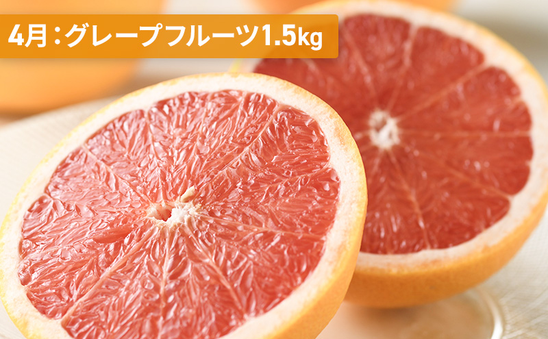 【2025年2月上旬より発送】浜松市の柑橘定期便 3回（2月～4月）せとか・不知火・グレープフルーツ