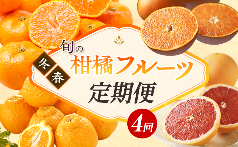 【2026年1月中旬より発送】浜松市の柑橘定期便 4回（1月～4月）三ヶ日みかん青島・せとか・不知火・グレープフルーツ