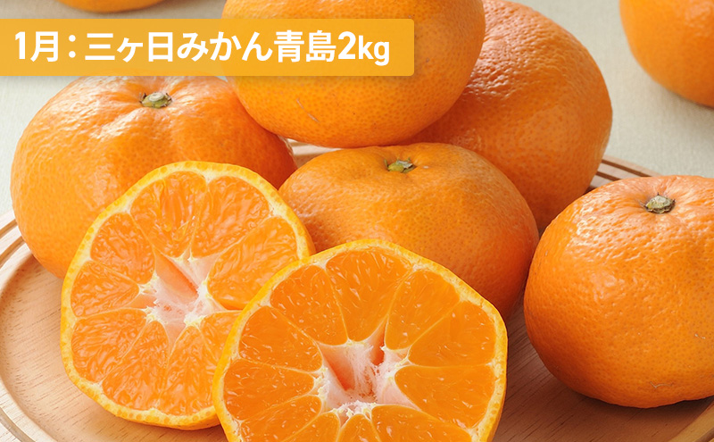 【2025年1月中旬より発送】浜松市の柑橘定期便 4回（1月～4月）三ヶ日みかん青島・せとか・不知火・グレープフルーツ