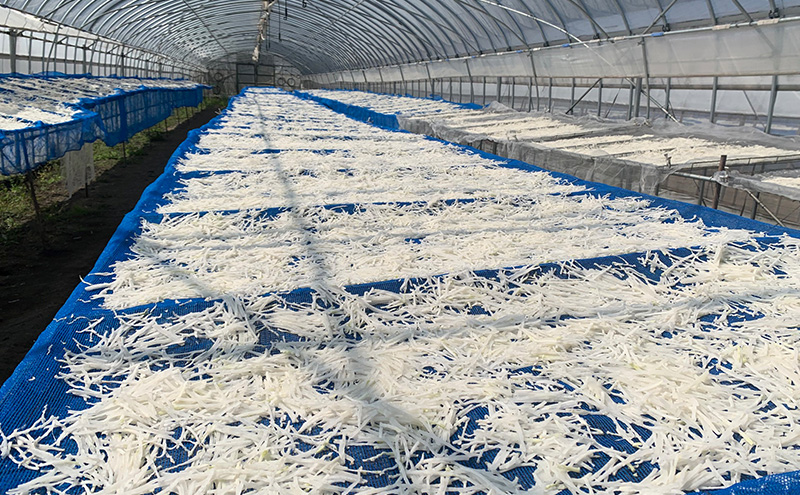 å±±ã®ãããå€§æ ¹ èŽççš5è¢ã»ããã(ãã®ãŸãŸé£ã¹ãŠãçŸå³ããã»æ°Žæ»ãäžèŠã§äœ¿ããåãå¹²ãå€§æ ¹)