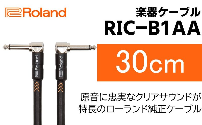 【Roland純正】楽器ケーブル 30cm/RIC-B1AA【配送不可：離島】
