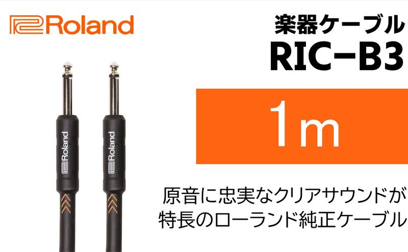 【Roland純正】楽器ケーブル 1m/RIC-B3【配送不可：離島】