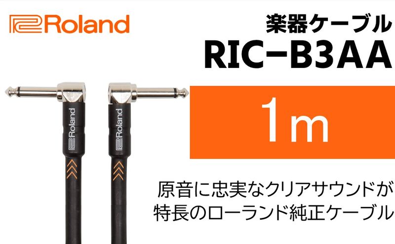 【Roland純正】楽器ケーブル 1m/RIC-B3AA【配送不可：離島】