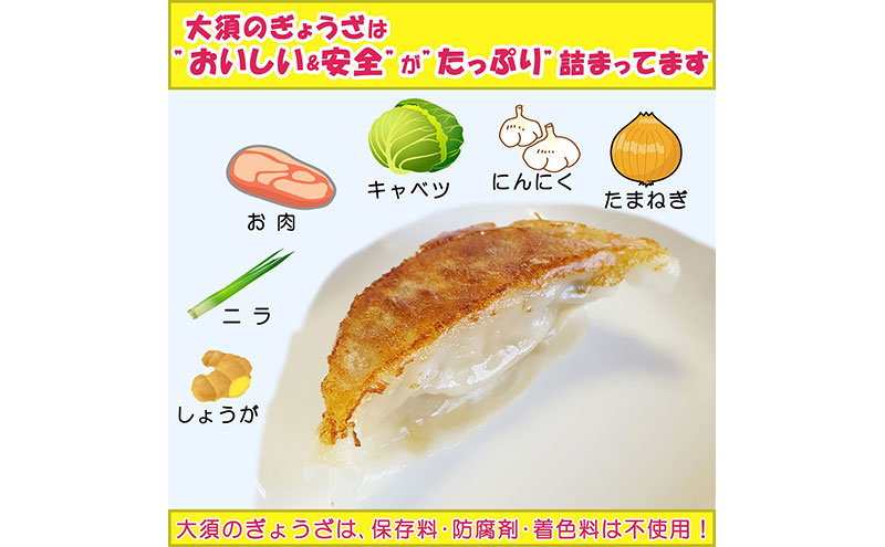 【定期便3回】浜松餃子 大須のぎょうざ『王道 浜松ぎょうざ（レギュラー味 ）』×4袋（1袋20個入、合計80個）