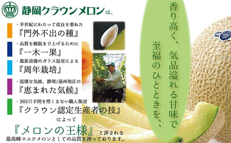 冷凍クラウンメロン（バラ凍結）約500g【配送不可：離島】 果物類 フルーツ メロン青肉 