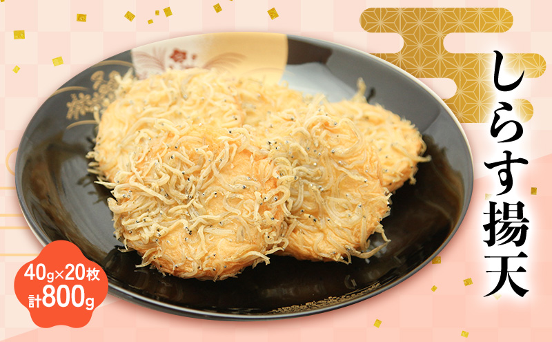 しらす揚天 40g×20枚　計800g 国産 静岡県 練り物 おつまみ おでん 煮物 食材 料理 食品